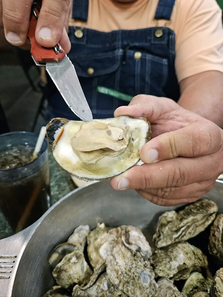 Steamed Oysters